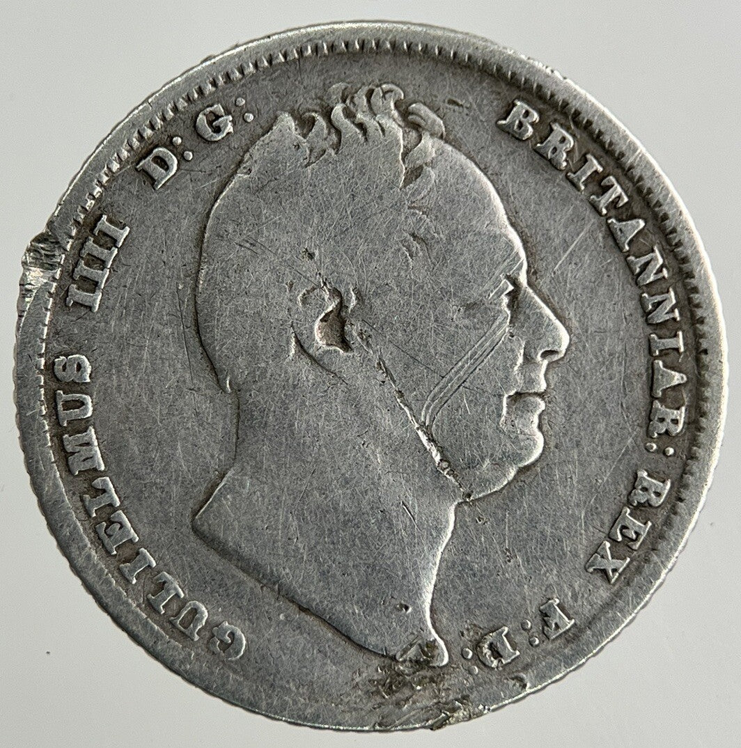 1834 William IV Sixpence Silver Coin | Collectable Grade