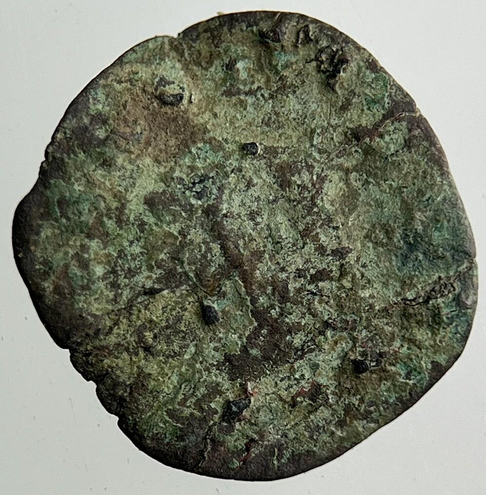 Irish Rose Hammered Farthing Coin | Collectable Grade