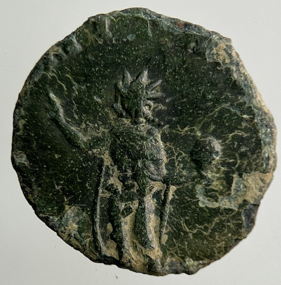 Ancient Roman Bronze Coin | Collectable Grade