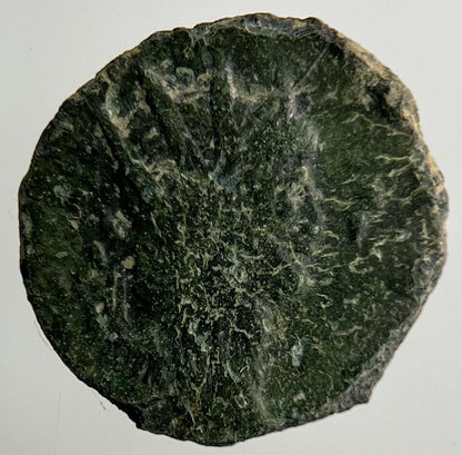 Ancient Roman Bronze Coin | Collectable Grade