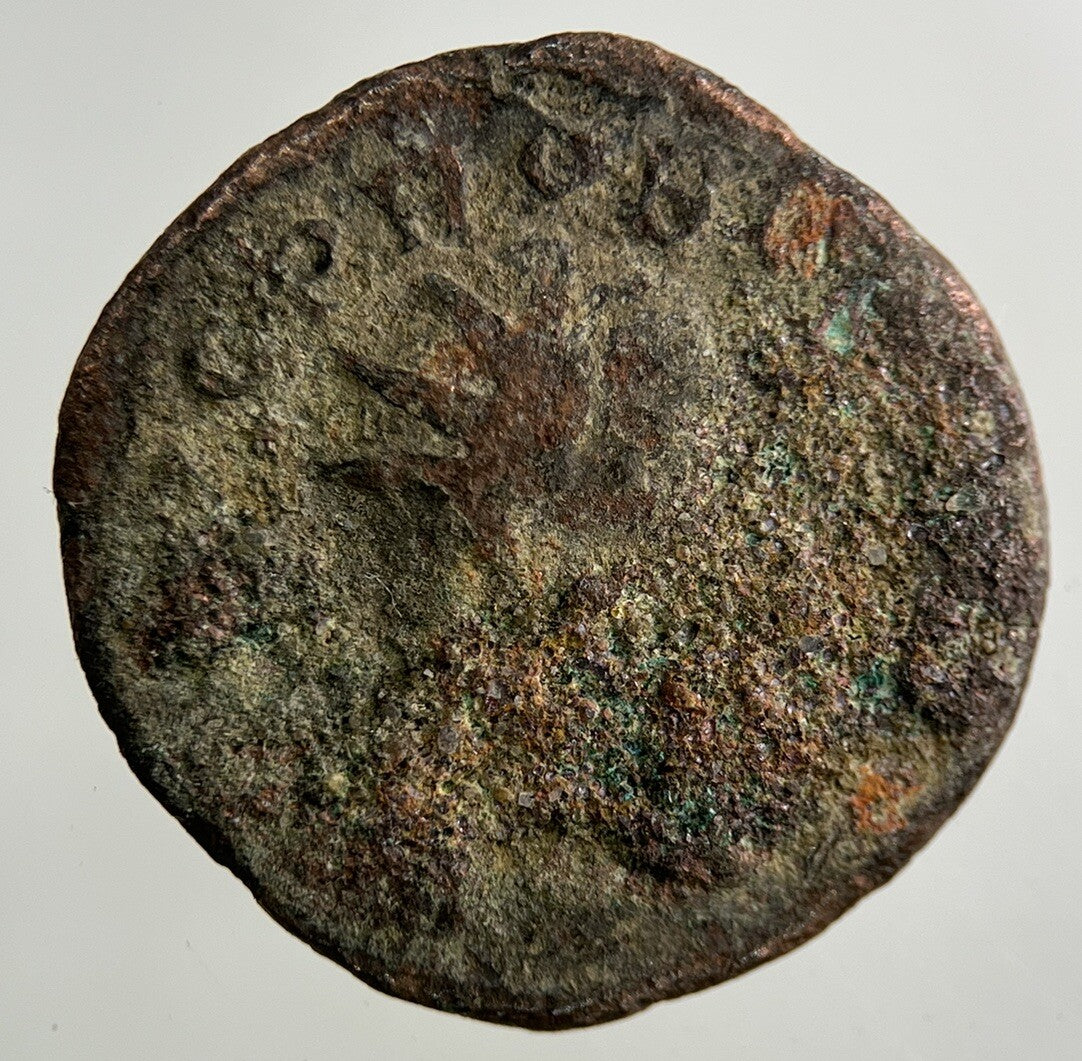 Ancient Roman Bronze Coin | Collectable Grade
