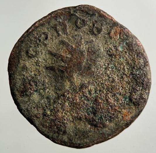 Ancient Roman Bronze Coin | Collectable Grade