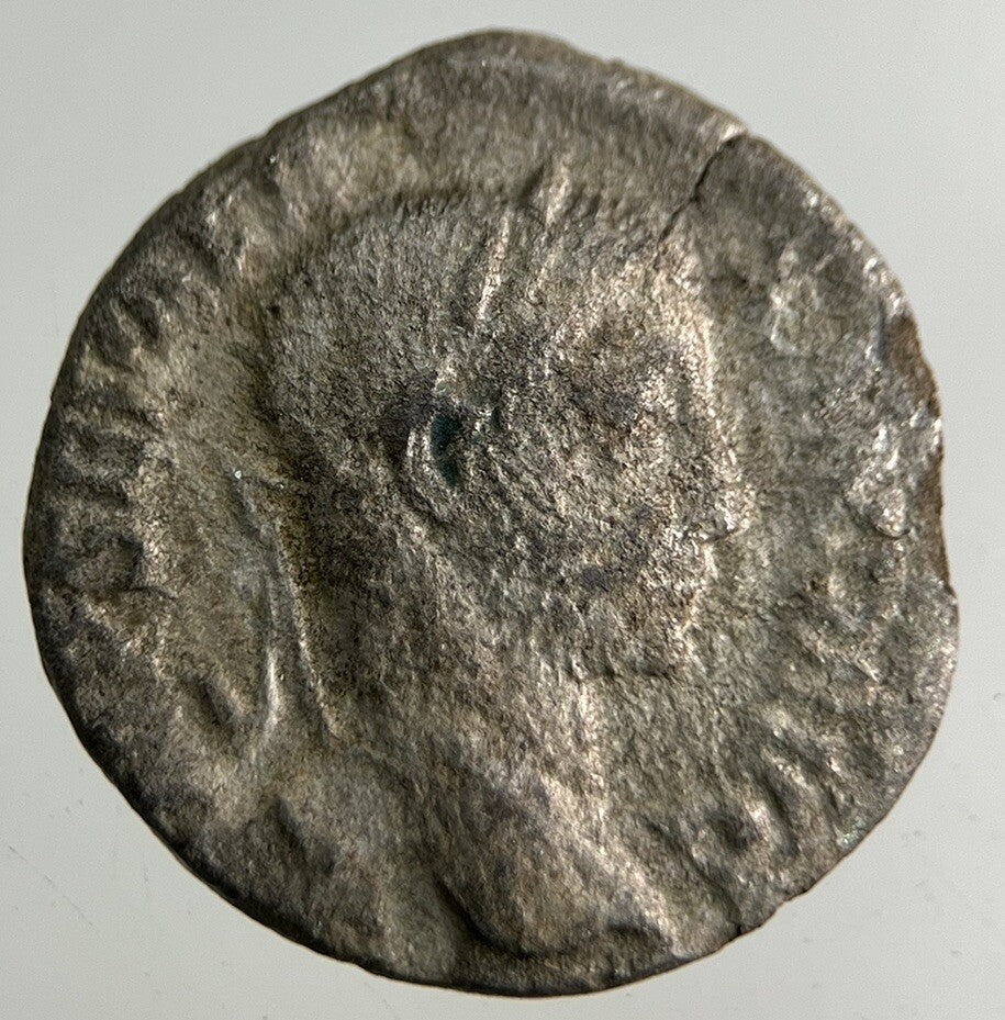 Ancient Roman Silver Denarius Coin | Collectable Grade