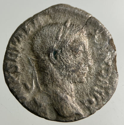 Ancient Roman Silver Denarius Coin | Collectable Grade