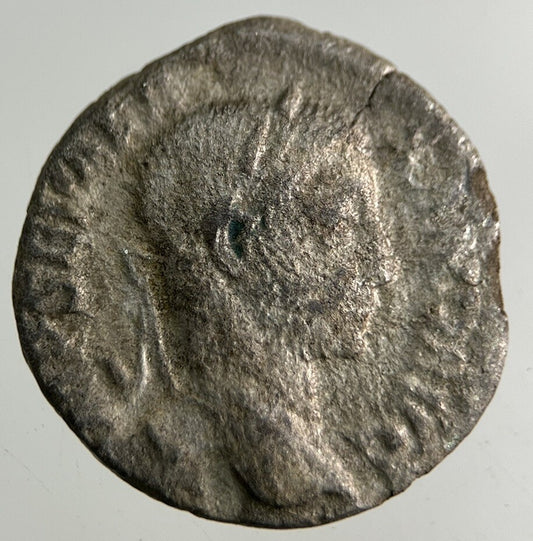 Ancient Roman Silver Denarius Coin | Collectable Grade