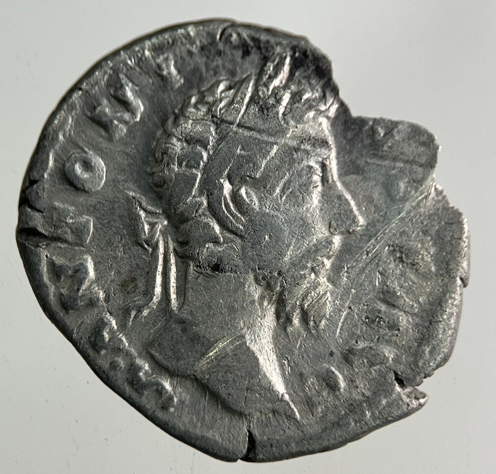 Ancient Roman Silver Denarius Coin | Collectable Grade