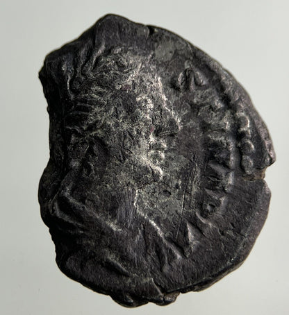 Ancient Roman Silver Denarius Coin | Collectable Grade