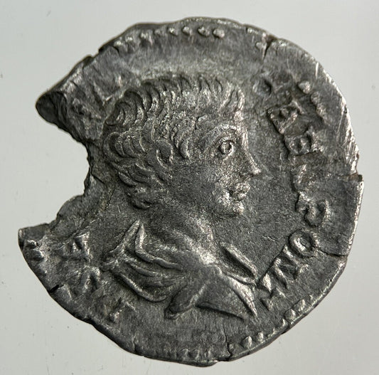 Ancient Roman Silver Denarius Coin | Fine Collectable Grade