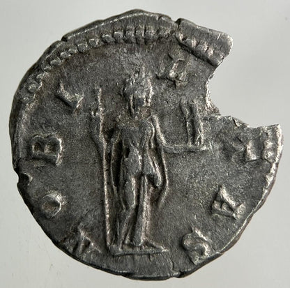 Ancient Roman Silver Denarius Coin | Fine Collectable Grade