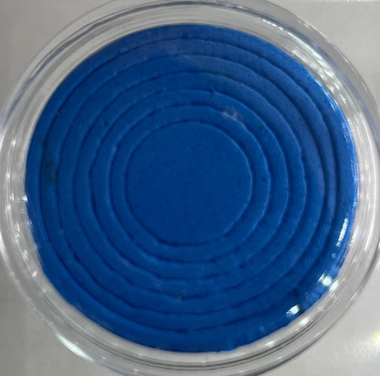 1 x 40mm Coin Storage Protective Clear Capsule + Blue Adjustable Foam Insert