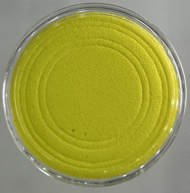 1 x 30mm Coin Storage Protective Clear Capsule + Yellow Adjustable Foam Insert