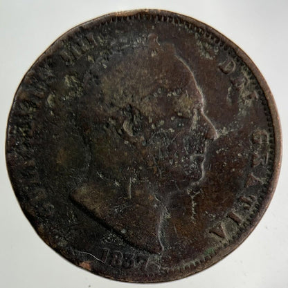 1837 William IV Half-Penny Coin | Collectable Grade