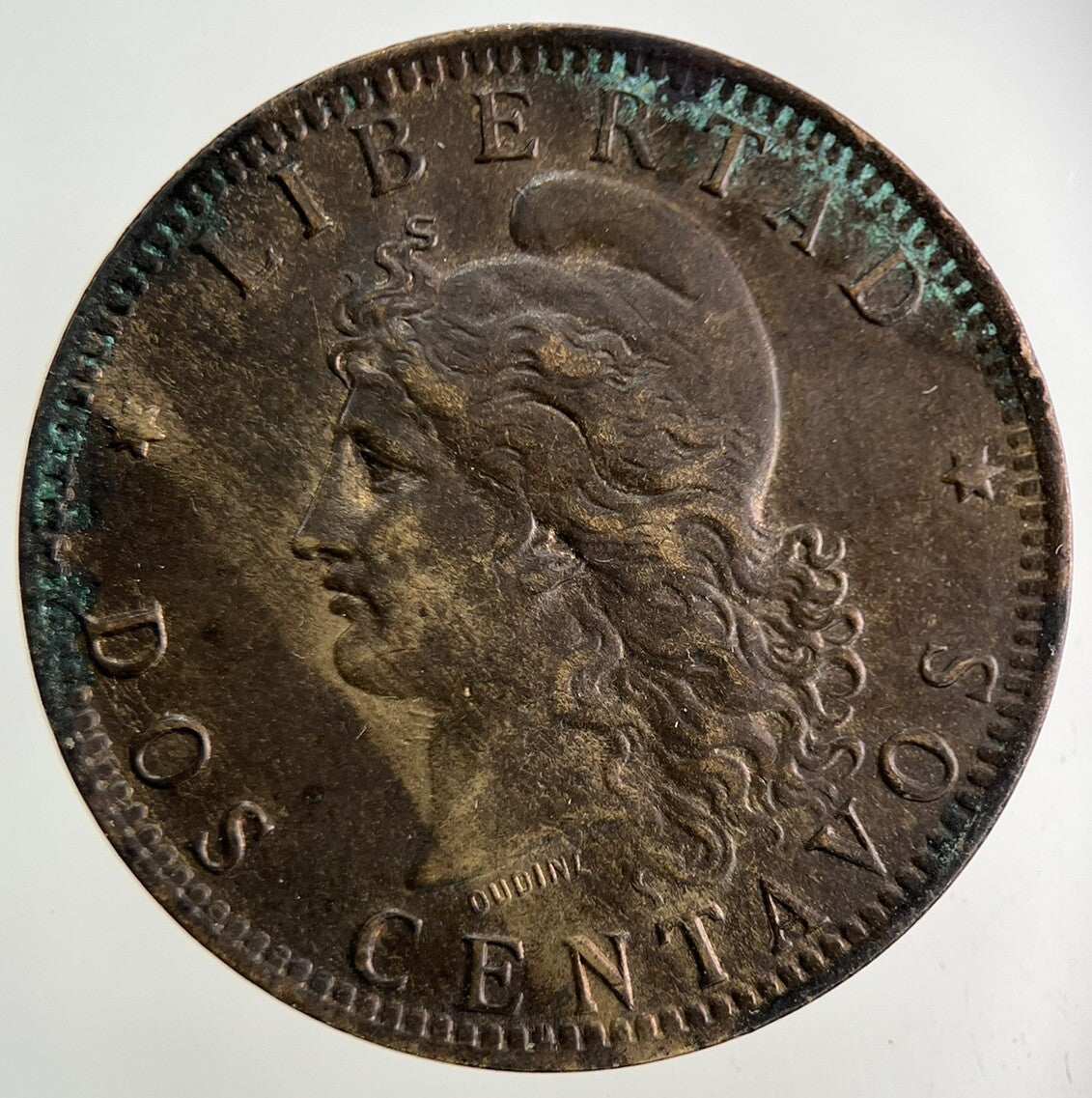 1890 Argentina 2 Dos Centavos Coin | Fine Collectable Grade