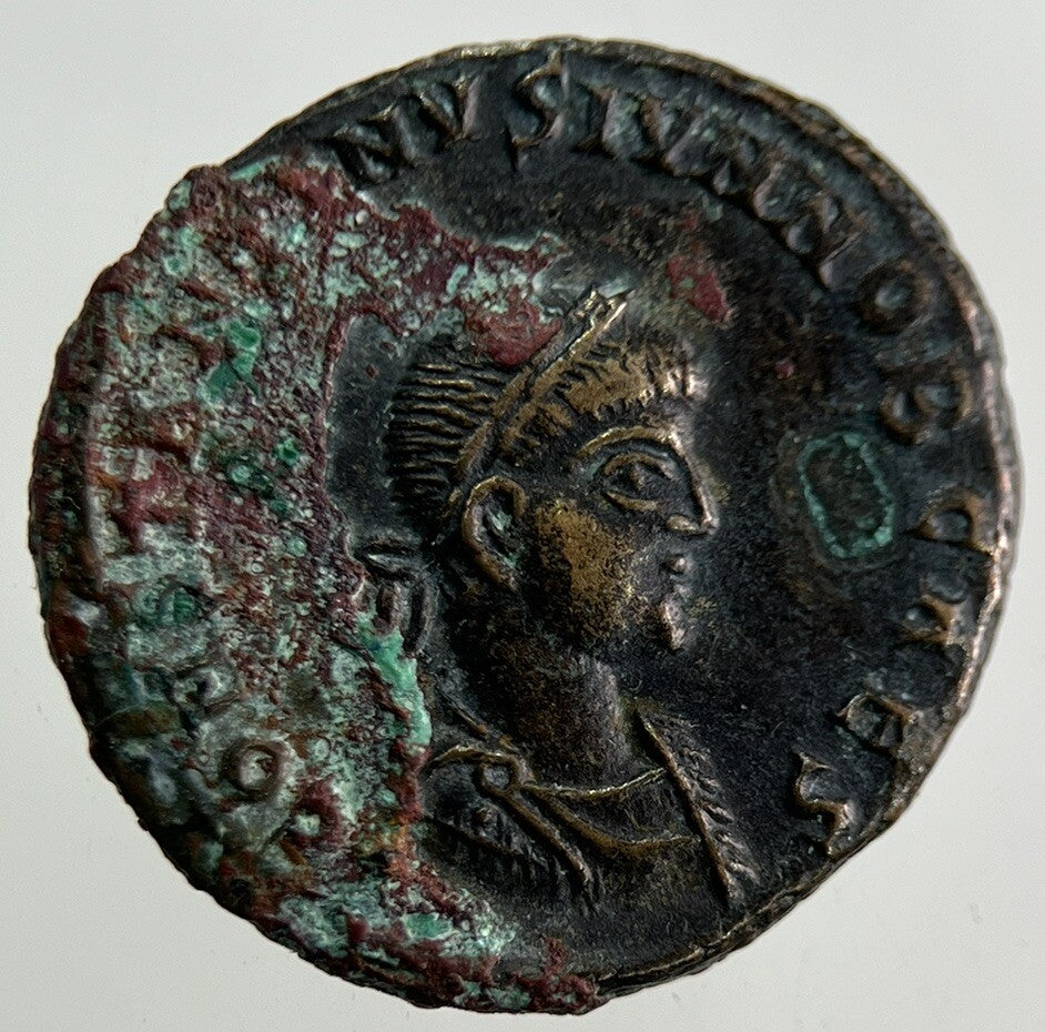 Ancient Roman Bronze Coin | Fine Collectable Grade