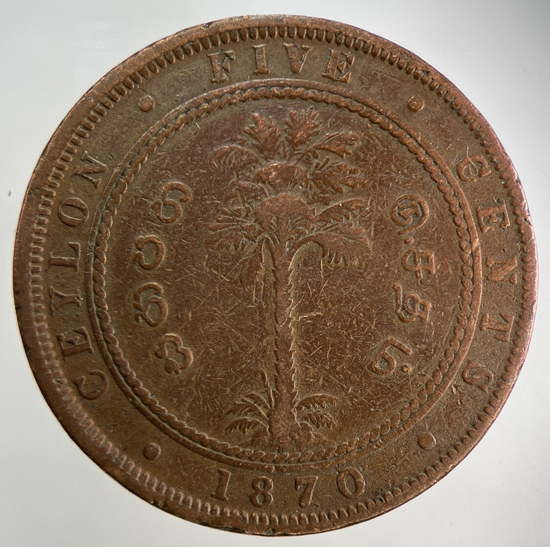 1870 Ceylon 5 Cents Coin | Fine Collectable Grade