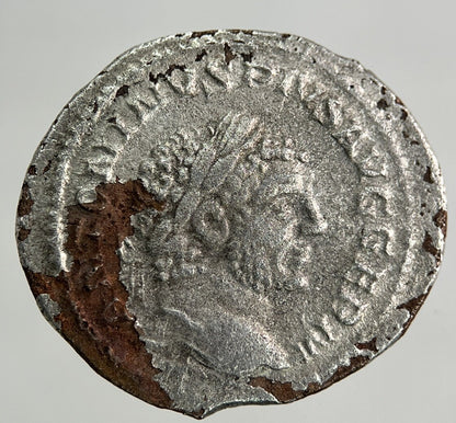 Ancient Roman Silver Denarius Coin | Fine Collectable Grade