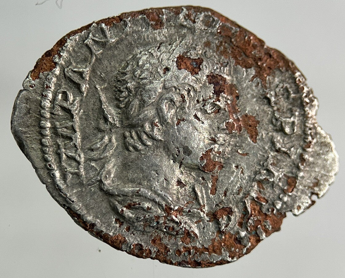 Ancient Roman Silver Denarius Coin | Fine Collectable Grade