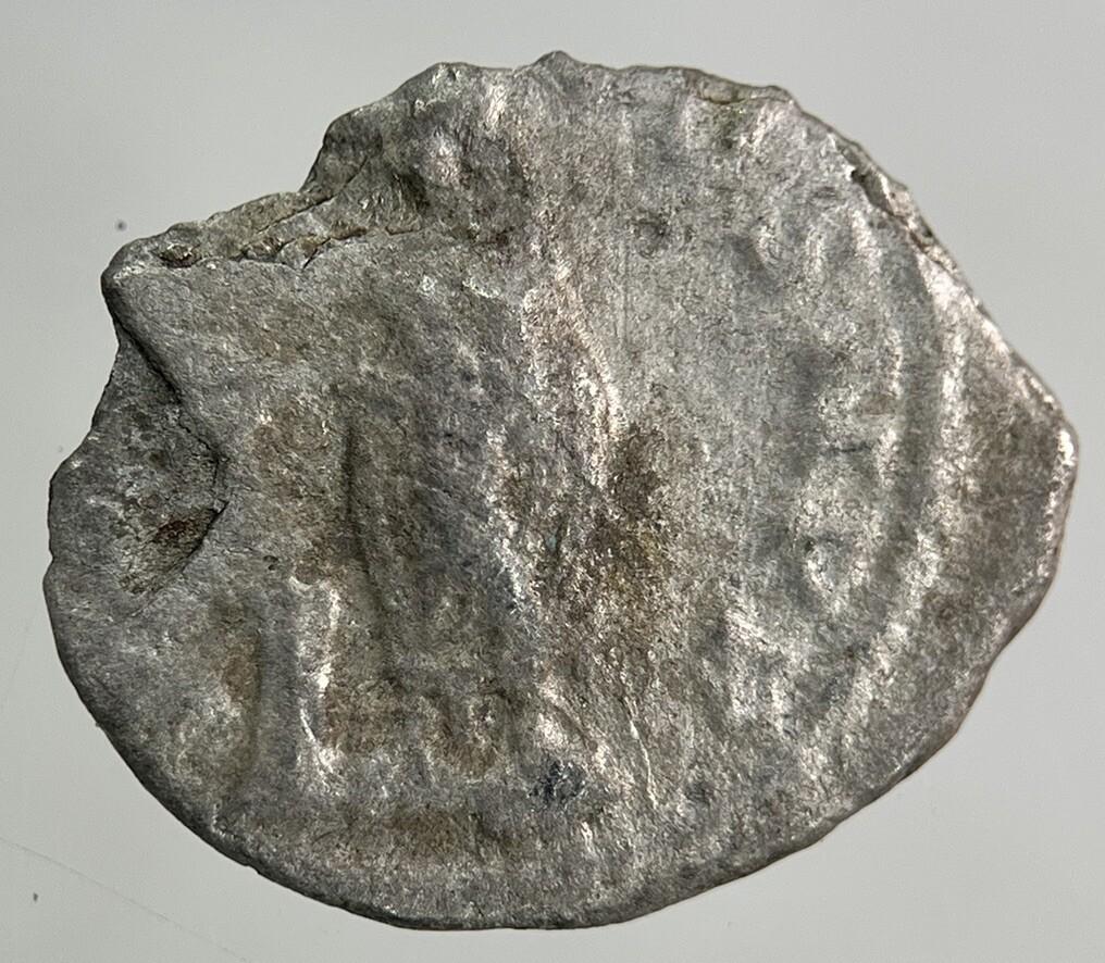 Ancient Roman Silver Denarius Coin | Collectable Grade