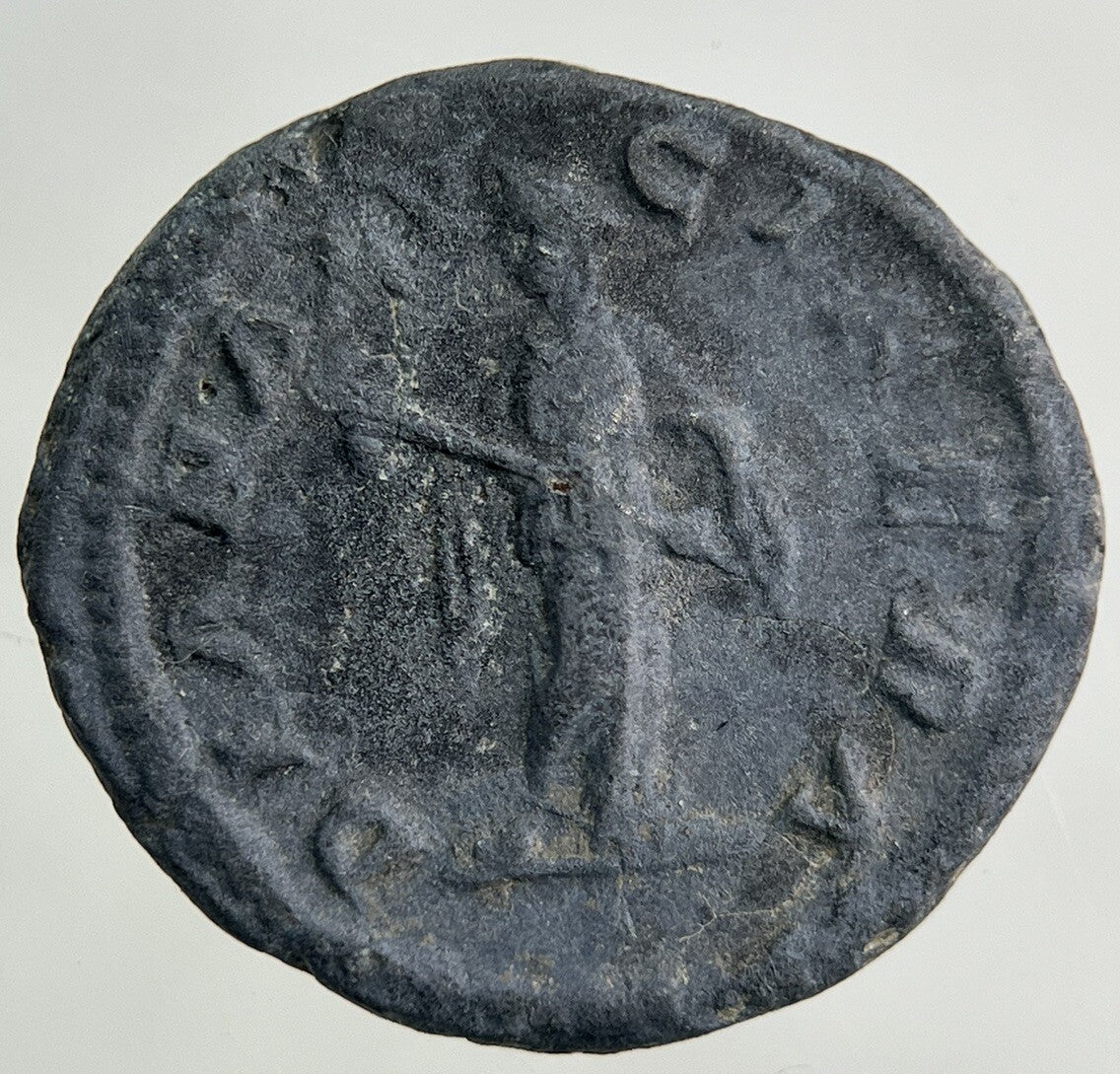 Ancient Roman Bronze Denarius Coin | Collectable Grade