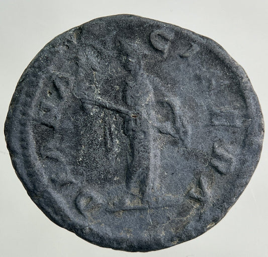 Ancient Roman Bronze Denarius Coin | Collectable Grade