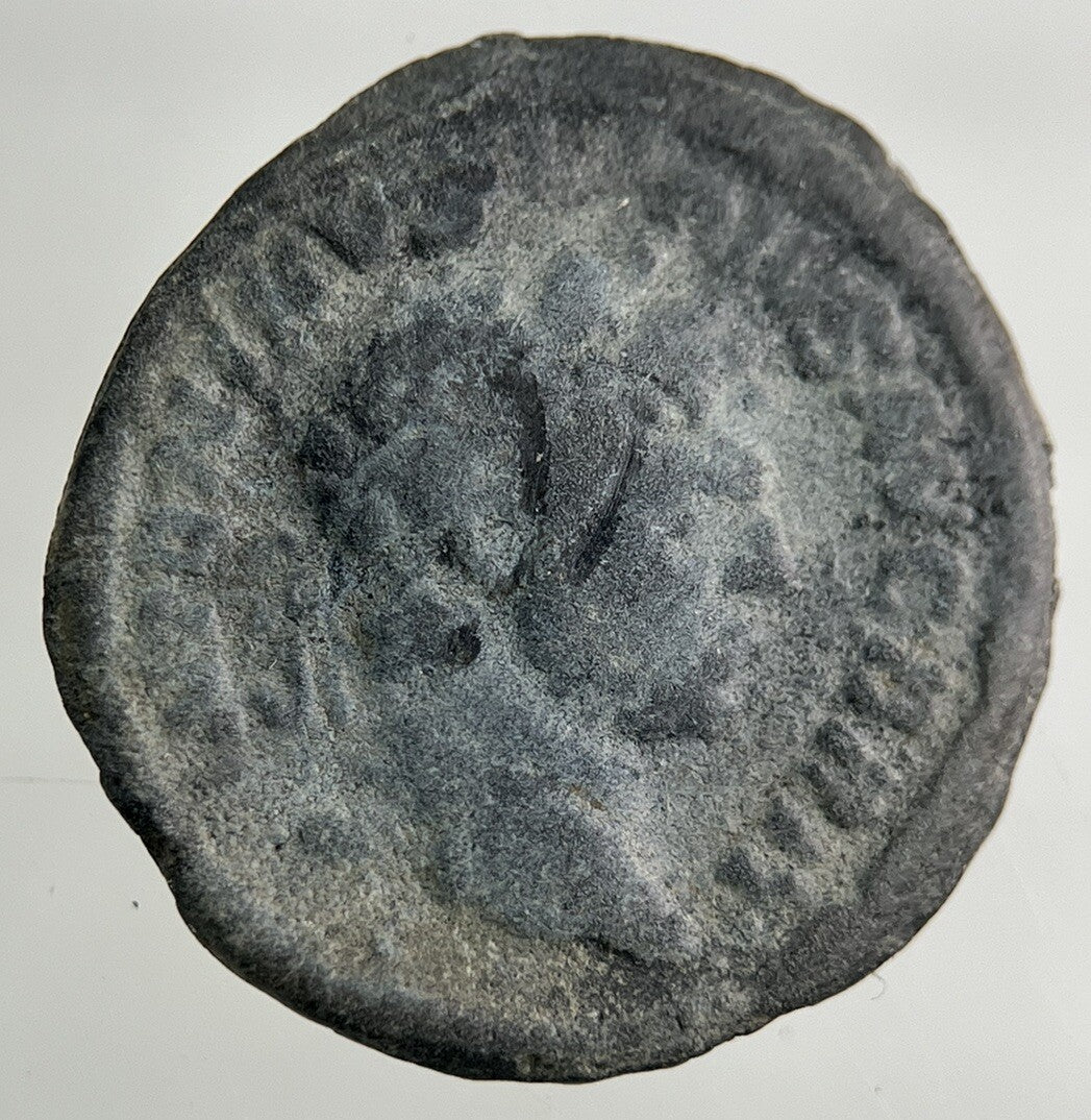 Ancient Roman Bronze Denarius Coin | Collectable Grade