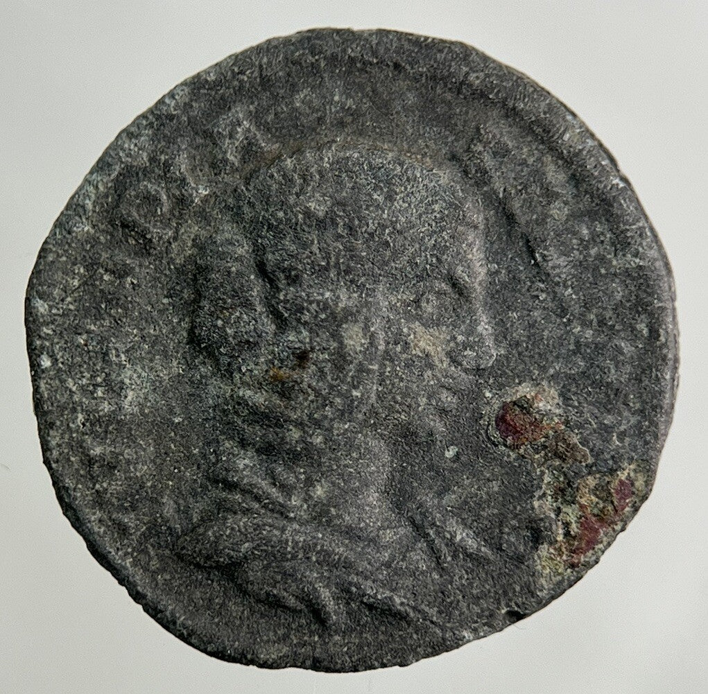 Ancient Roman Bronze Denarius Coin | Collectable Grade