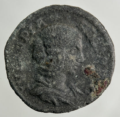 Ancient Roman Bronze Denarius Coin | Collectable Grade