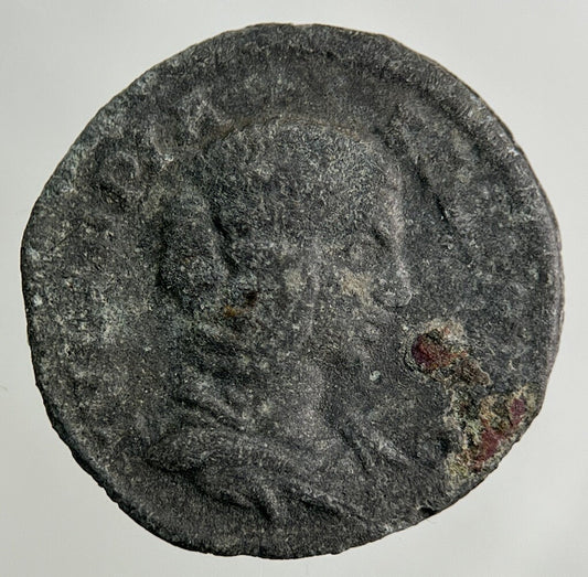 Ancient Roman Bronze Denarius Coin | Collectable Grade