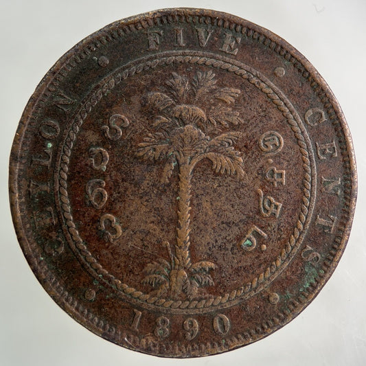 1890 Ceylon 5 Cents Coin | Fine Collectable Grade