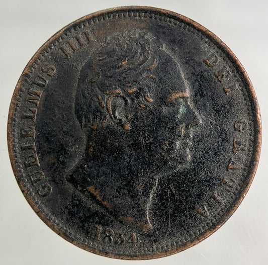 1834 William IV Half-Penny Coin | Fine Collectable Grade