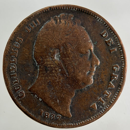 1837 William IV Farthing Coin | Collectable Grade