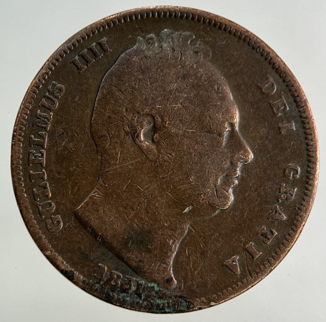 1831 William IV Farthing Coin | Collectable Grade