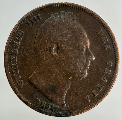 1831 William IV Farthing Coin | Collectable Grade