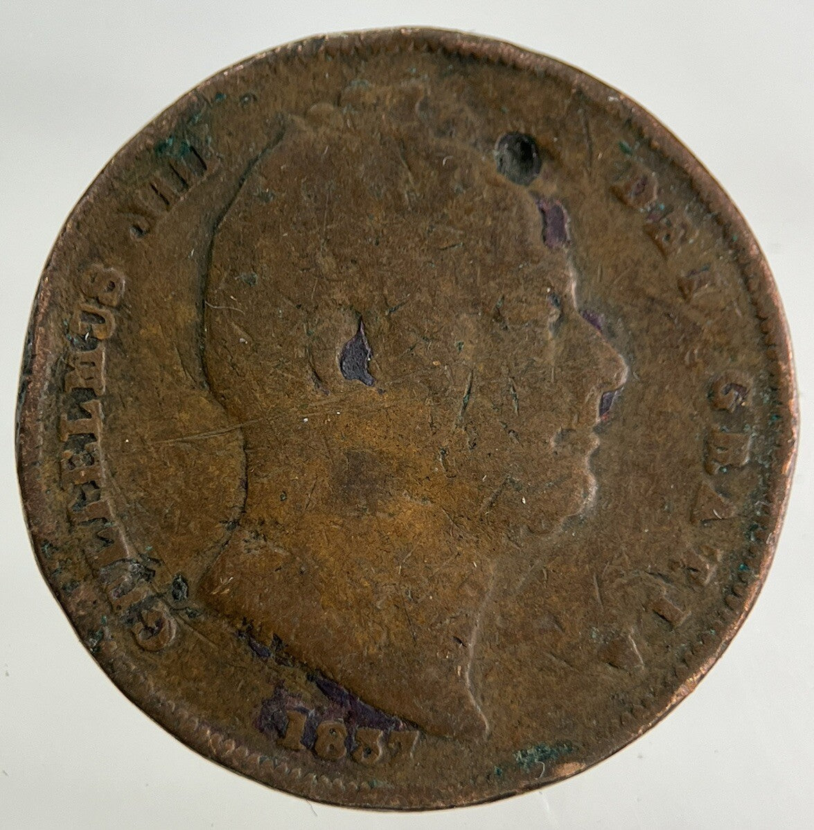 1837 William IV Farthing Coin | Collectable Grade
