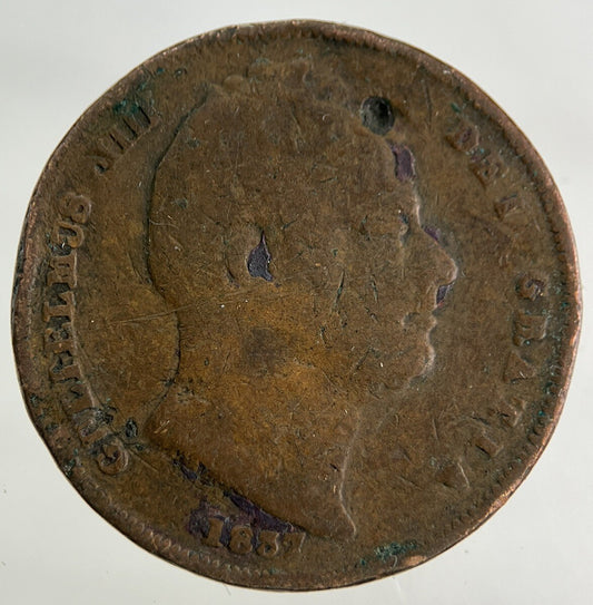 1837 William IV Farthing Coin | Collectable Grade