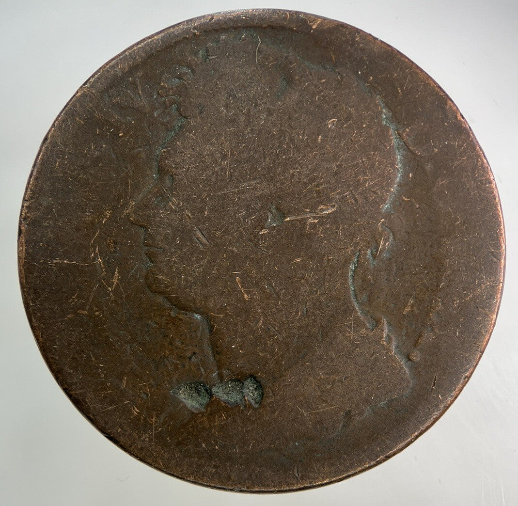 Irish One Penny Coin | Collectable Grade