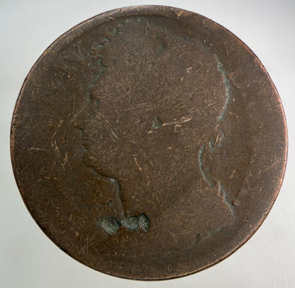 Irish One Penny Coin | Collectable Grade