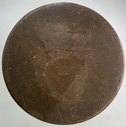 Irish One Penny Coin | Collectable Grade