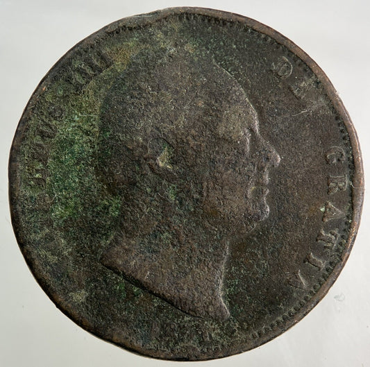 1831 William IV Half-Penny Coin | Collectable Grade