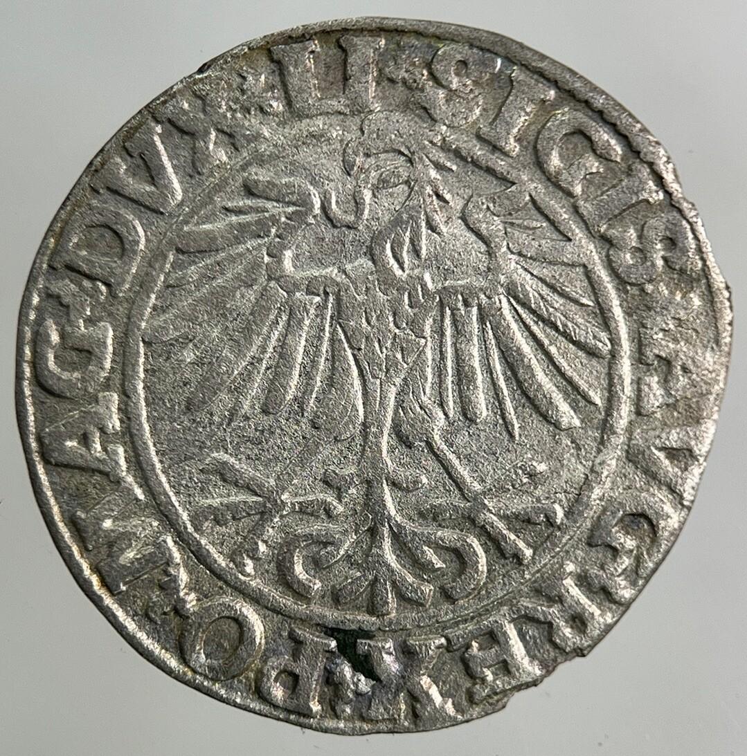 1550 Lithuania / Poland Half Groschen Silver Coin | Fine Collectable Grade