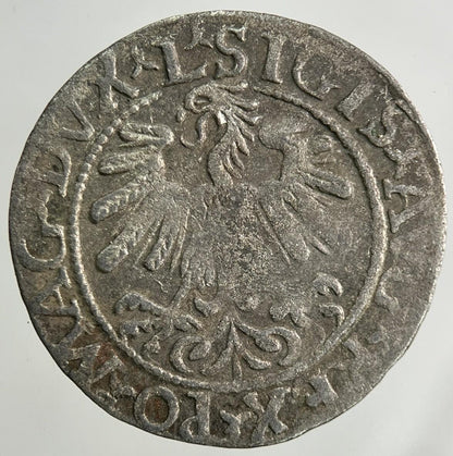 1559 Lithuania / Poland Half Groschen Silver Coin | Fine Collectable Grade