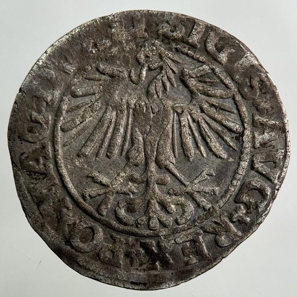 1549 Lithuania / Poland Half Groschen Silver Coin | Fine Collectable Grade