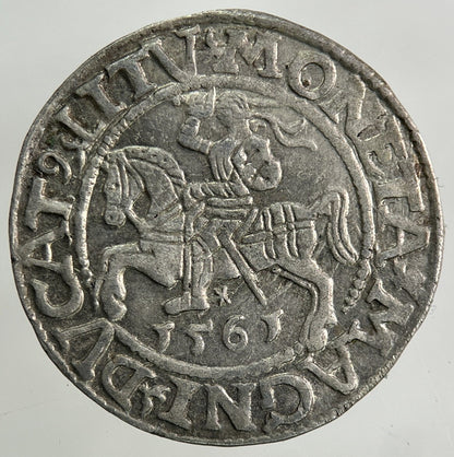 1561 Lithuania / Poland Half Groschen Silver Coin | Fine Collectable Grade