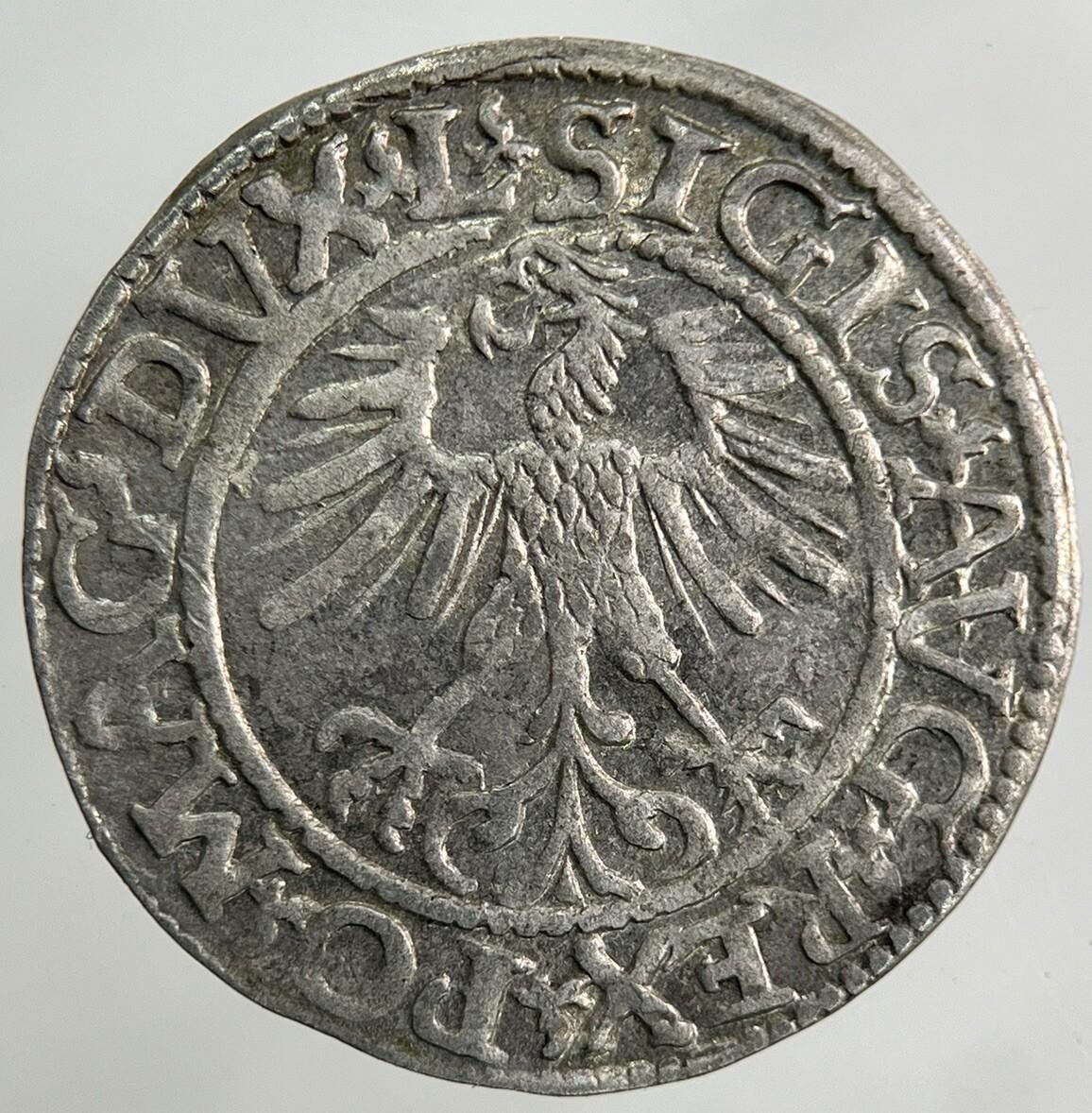 1561 Lithuania / Poland Half Groschen Silver Coin | Fine Collectable Grade