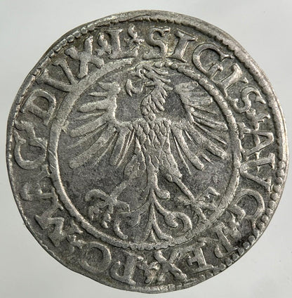 1561 Lithuania / Poland Half Groschen Silver Coin | Fine Collectable Grade