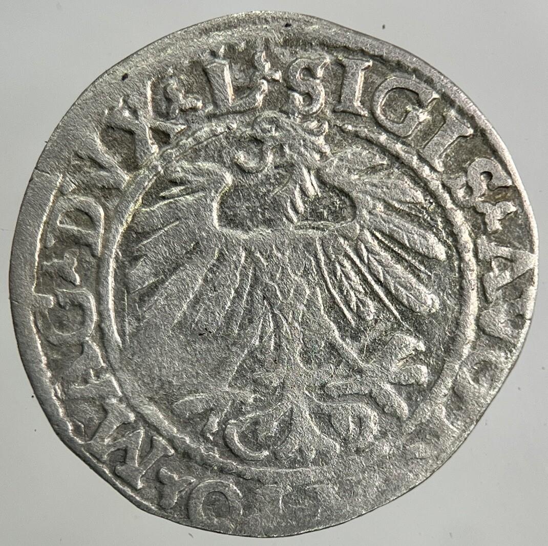 1559 Lithuania / Poland Half Groschen Silver Coin | Fine Collectable Grade