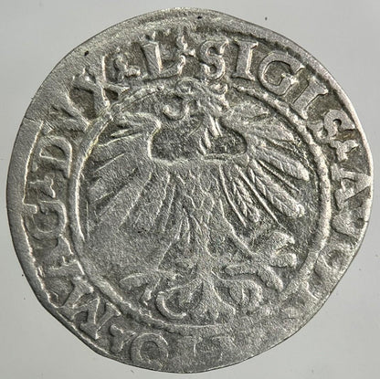 1559 Lithuania / Poland Half Groschen Silver Coin | Fine Collectable Grade