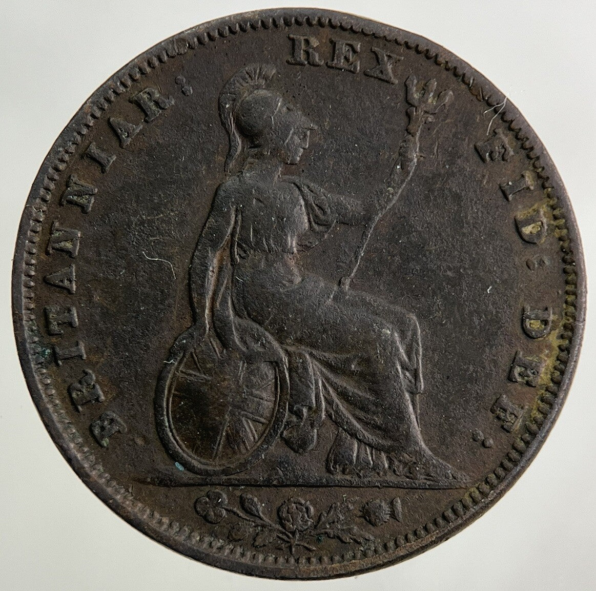 1837 William IV Farthing Coin | Fine Collectable Grade