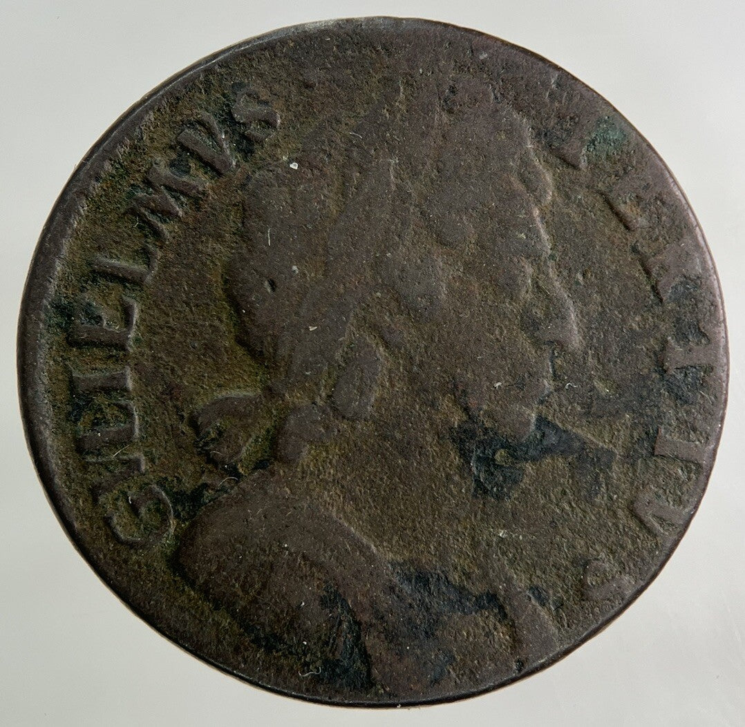 1699 William III 3rd Half-Penny Coin | Fine Collectable Grade