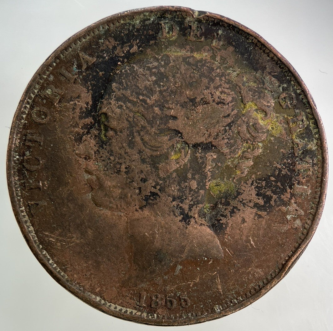 1855 Victoria One Penny Coin | Collectable Grade